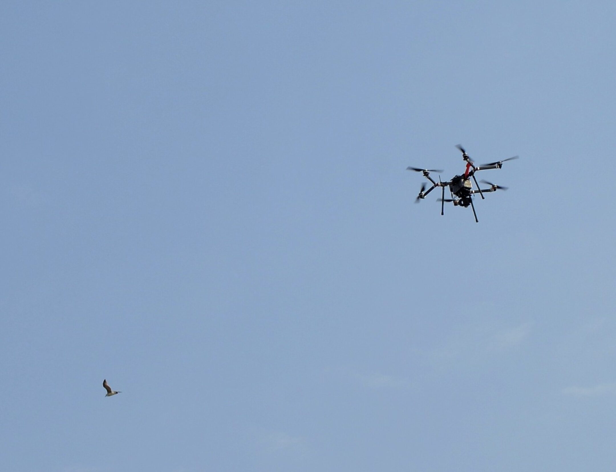 Consegnavano droghe e cellulari in carcere con i droni: 4 arresti
