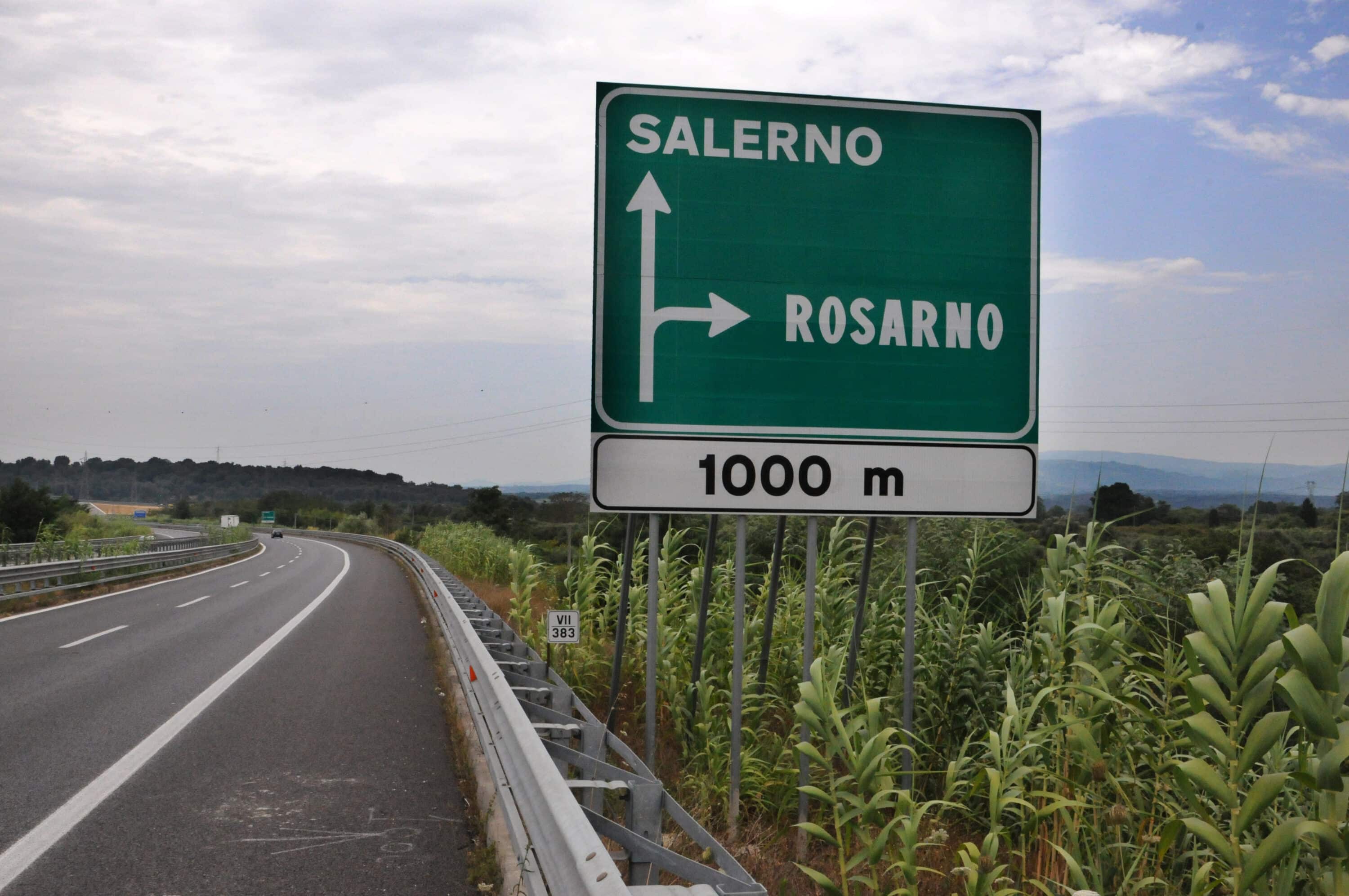 Caporalato, Rosarno è… ancora alla frutta. Il rapporto Medici per i diritti umani tra irregolari e sfruttamento