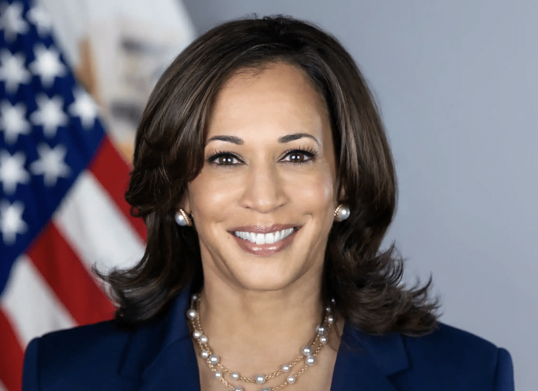 Kamala Harris accetta la candidatura alle presidenziali Usa: “Non possiamo tornare indietro”