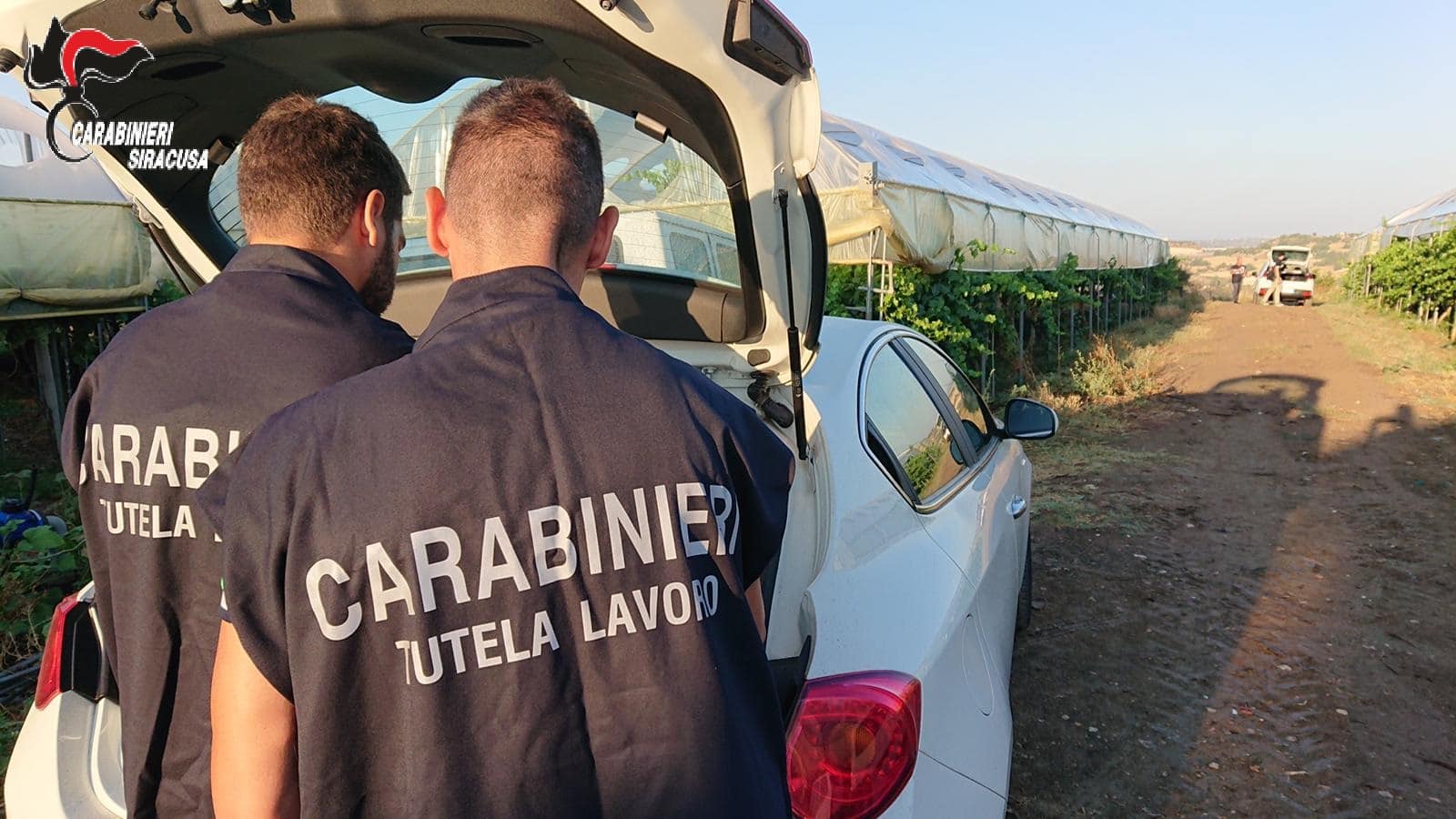 Lavoro irregolare e caporalato, controlli dei Carabinieri in tutta Italia