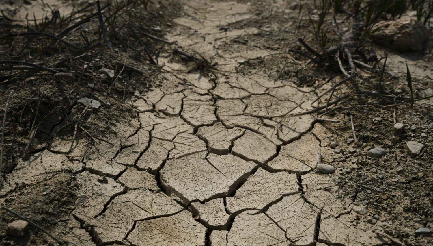 Il Sud muore di sete e i soldi del Pnrr latitano