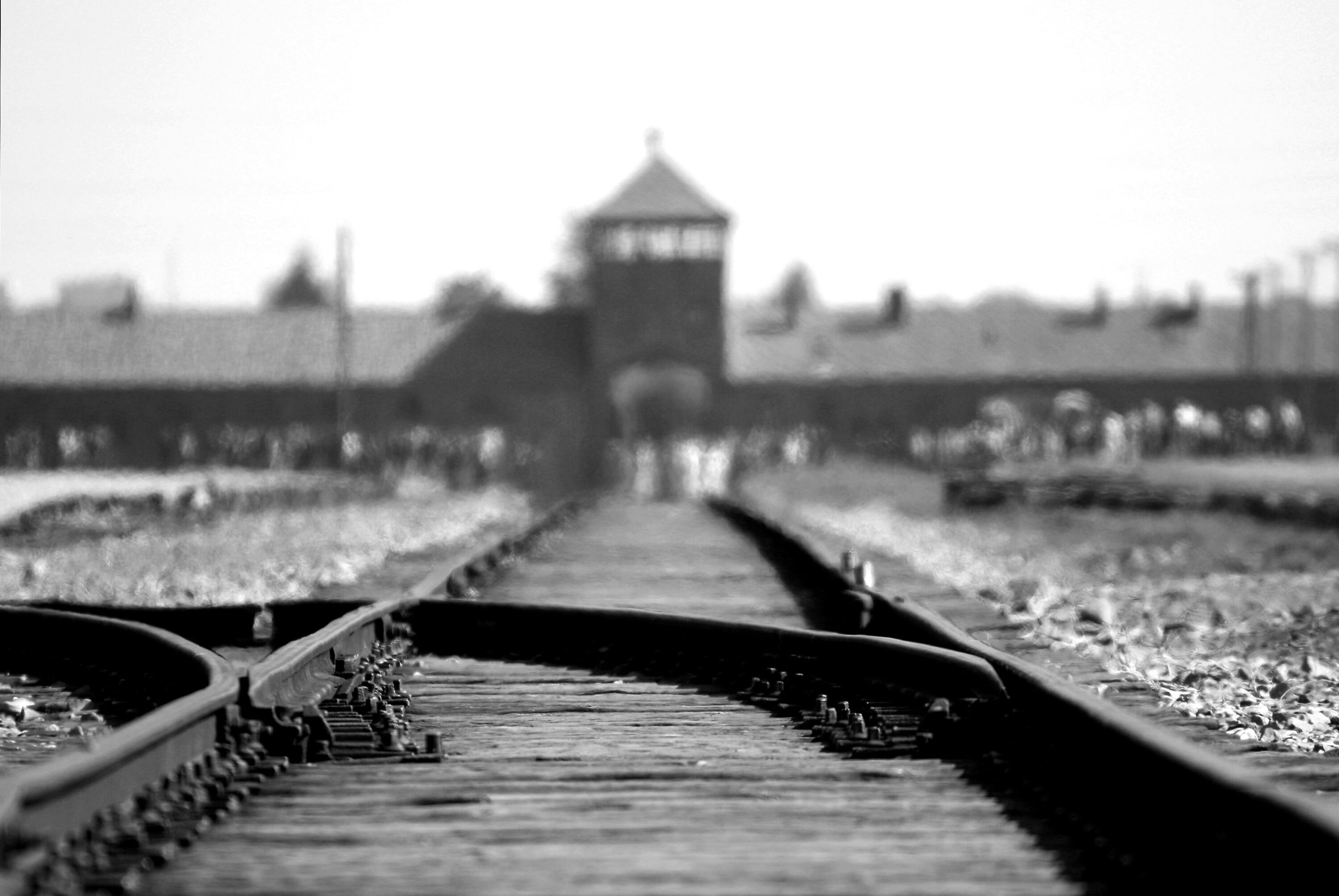 Ottantesimo anniversario della liberazione del campo di sterminio di Auschwitz, ecco tutti i leader presenti all’evento