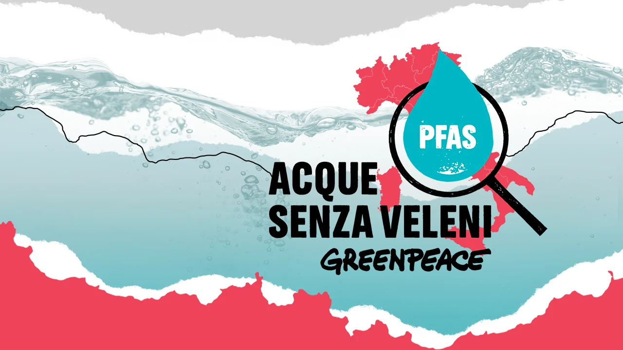 Pfas, la denuncia di Greenpeace: acqua potabile contaminata in tutta Italia