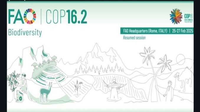 COP16 di Roma: la biodiversità appesa a un filo tra promesse e finanziamenti